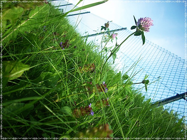 natur