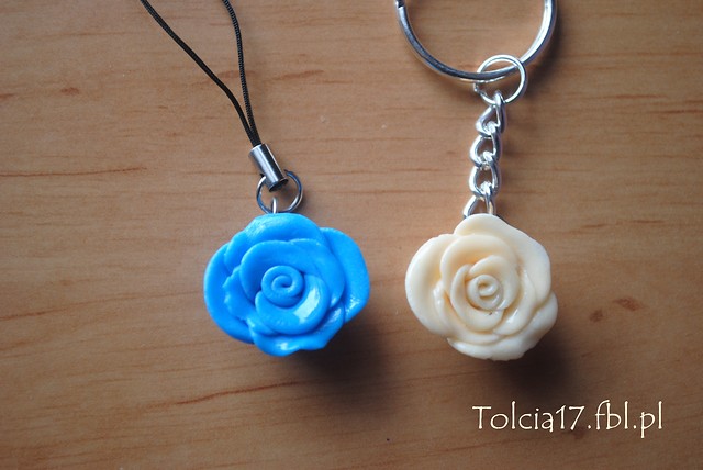 Wpis tolcia17