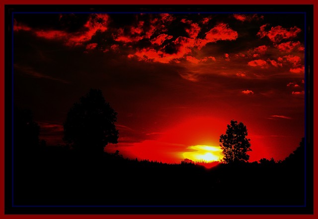 Wpis fotokrzypek