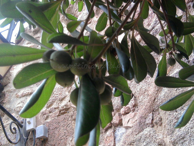 hiszpania.