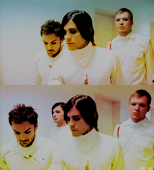 shannon, tomo, jared, matt