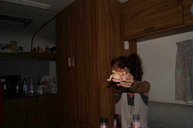 nocny nieogar z jaszczurem