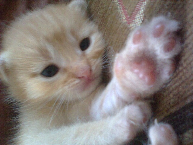 Bonifacy ♥