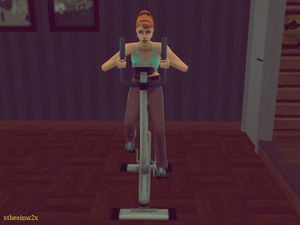 Wpis xthesims2x