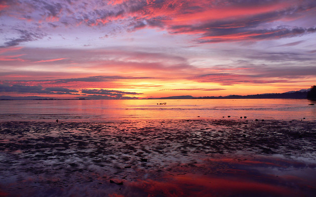 sunrisee