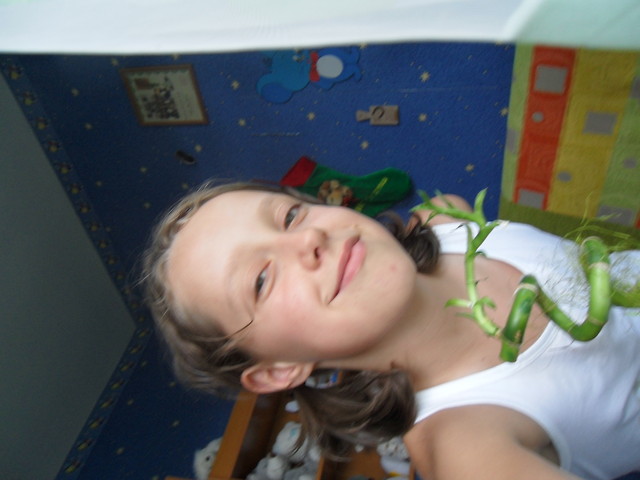 Wpis greenyellowblue