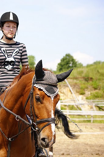 Wpis horsesandtheyonly