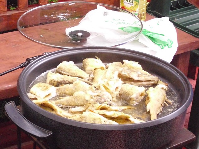 RYBKI