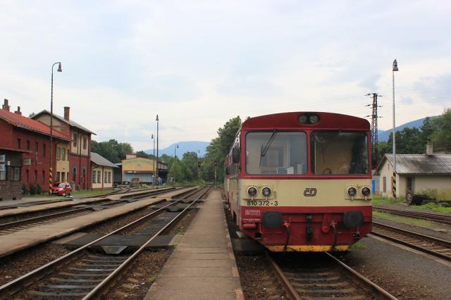 810 372-3