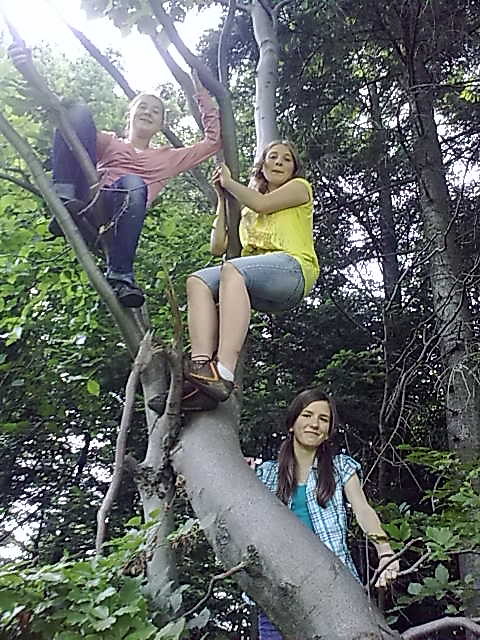 Na drzewie ;***