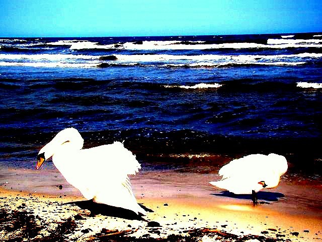 Ustka  ; d 