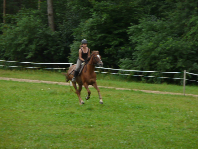 galop