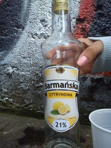 Wpis pyllusiaa