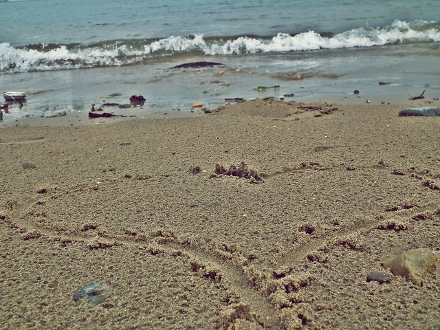 Bray, 