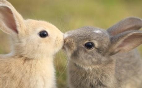 muaah . 