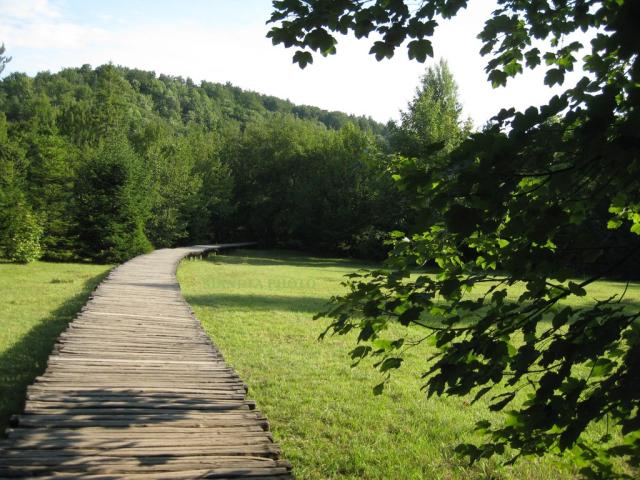 10.