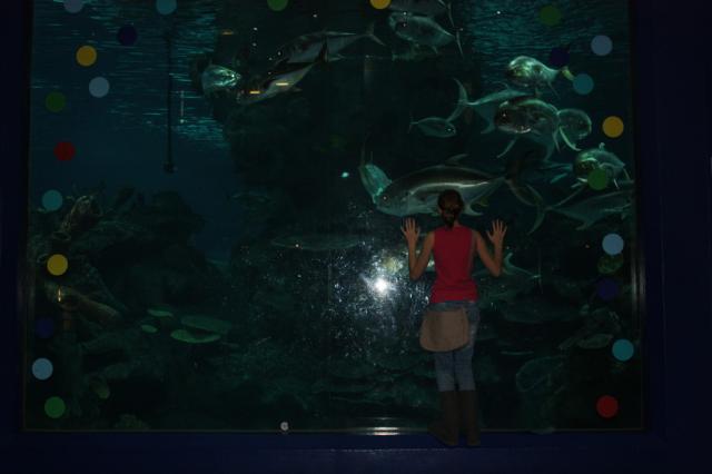 oceanarium 