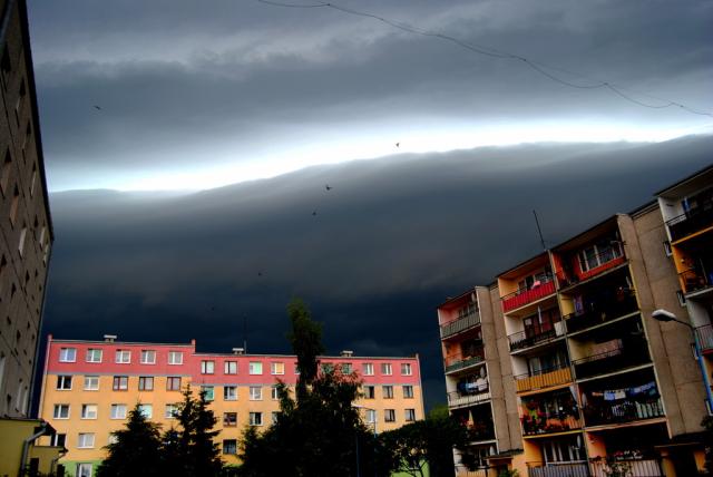 Fala Tsunami