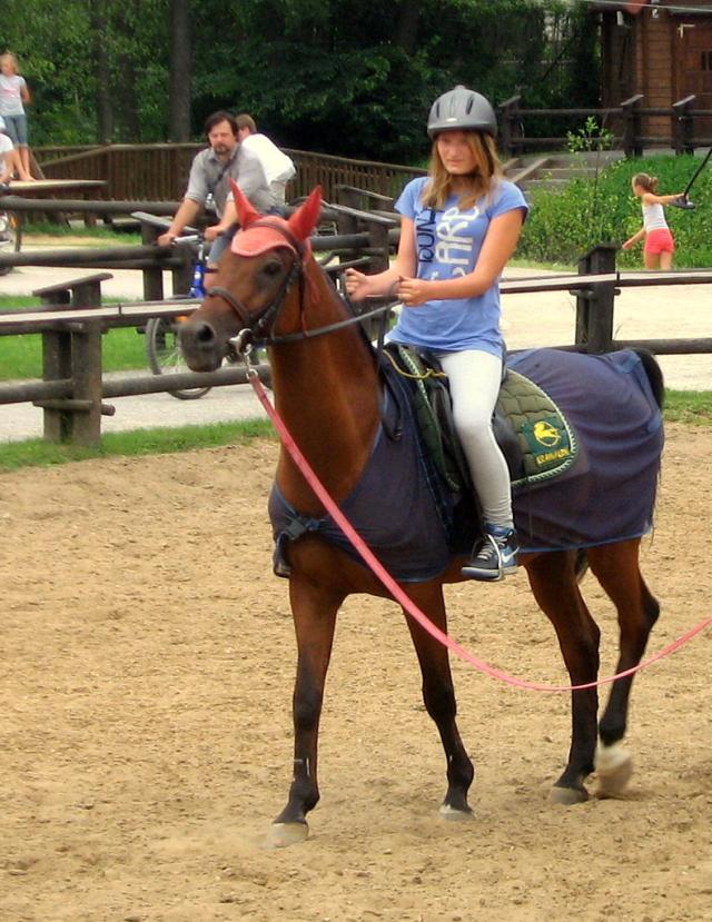 Konik