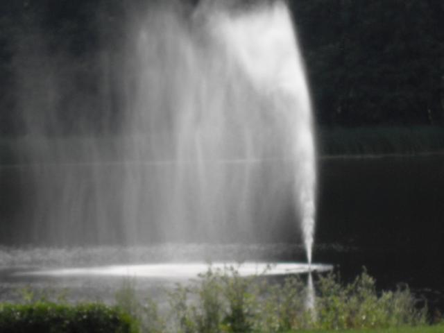 Wpis paulina890429