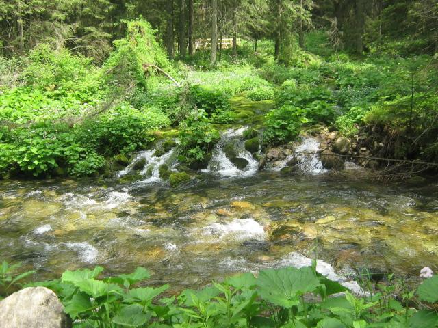 potok grski