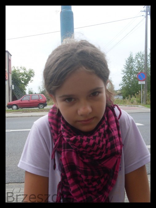 Brzeszcze