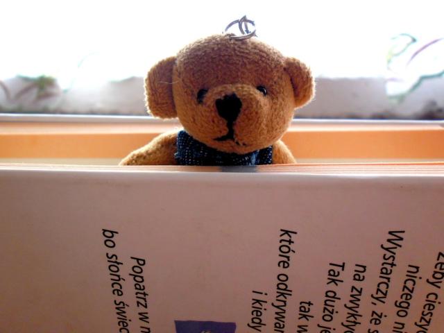 Bear in book