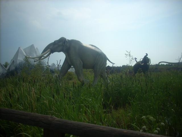 uwaga . !