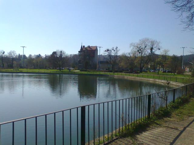 Oliwa.