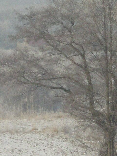 Bajkowe drzewo