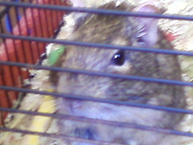 Tuptu ;(