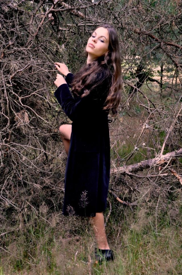 lost in the twilight IX