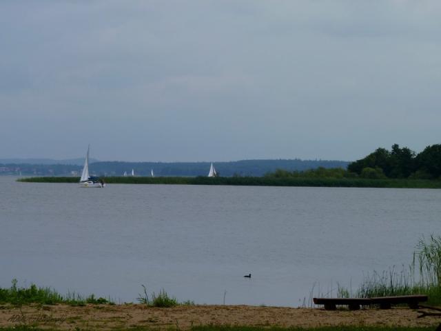 Widoczek