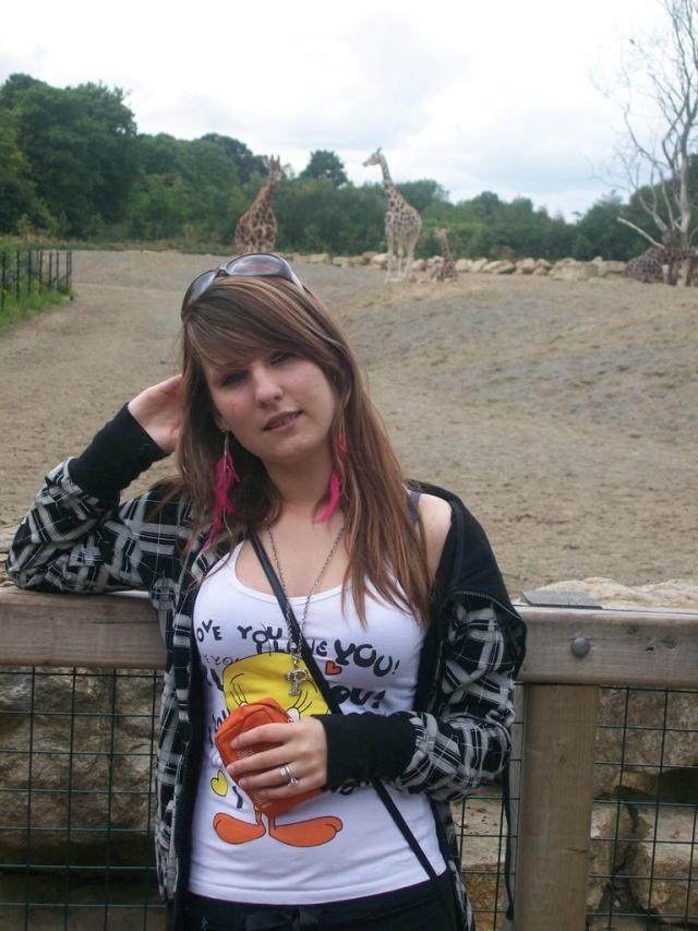 zoo.