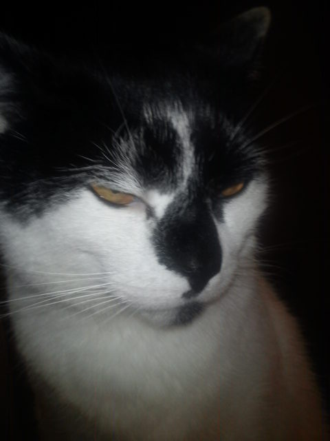 Bazylek < 3