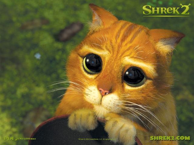 Mrauu *.*