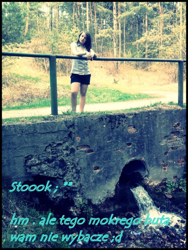  Zabiiijee ;d stook .  ;*
