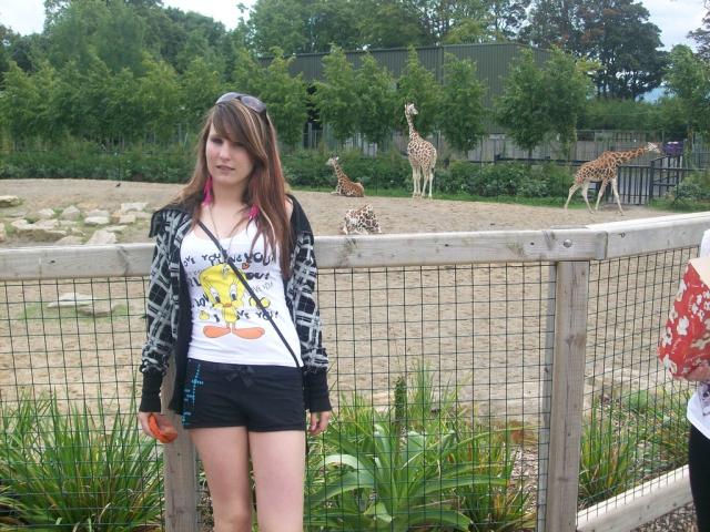 z zoo.