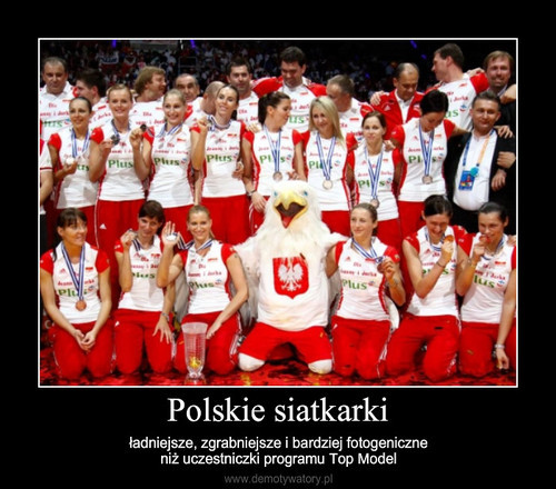 Polskie Siatkarki 
