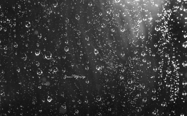 Photographyy.