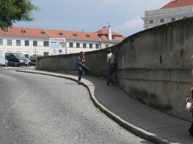 Wiede 