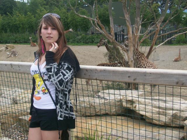 w zoo.