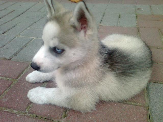 I znw on ;)