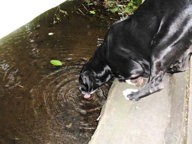 Warka :*