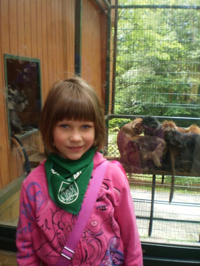 ZOO