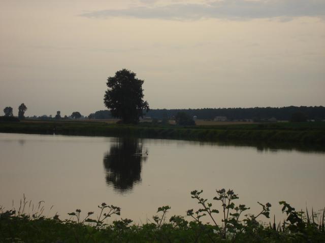 1.