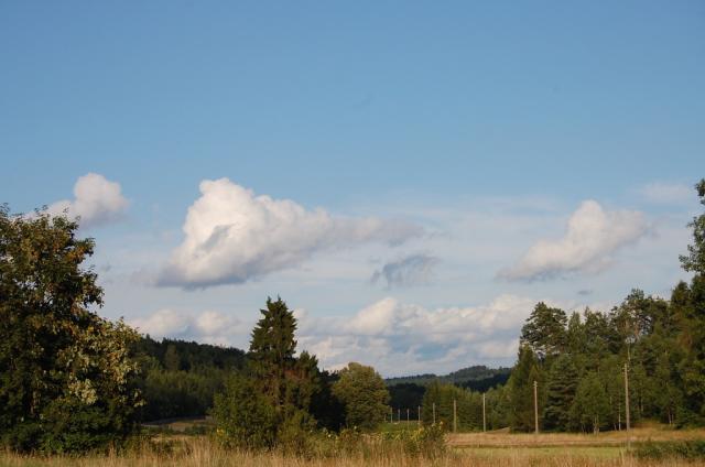 Krasnobrd
