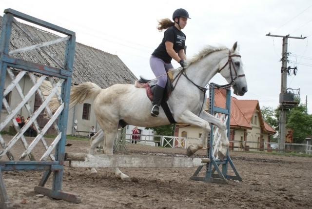 Wpis niebieskomixd