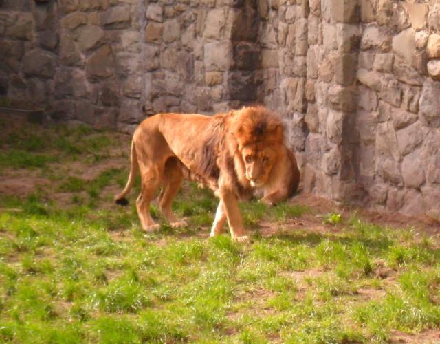 ZOO^^