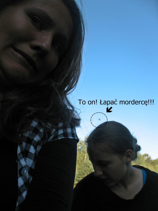 Mordercy